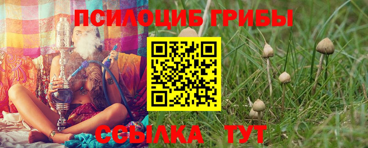 Галлюциногенные грибы Magic Shrooms  купить  цена  Вход с VPN  Наро-Фоминск  Галлюциногенные грибы Cubensis 
